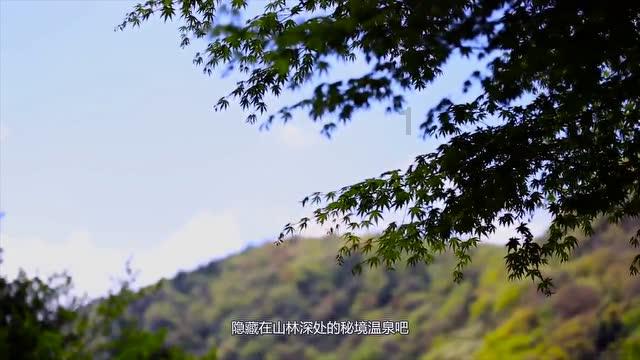 新倩女幽魂